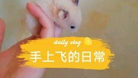 吃瓜娱乐背景板,揭秘娱乐圈幕后那些事儿