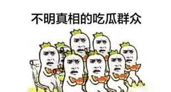 2022年娱乐吃瓜群众,吃瓜群众年度盘点