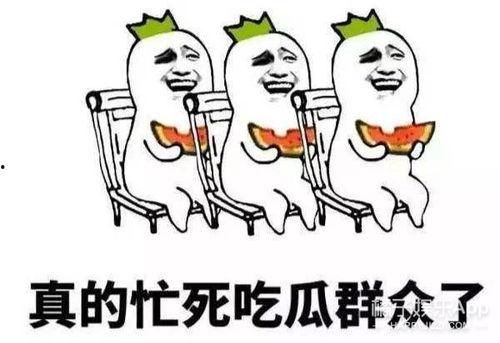 娱乐瓜都是在哪里吃的啊,明星们的“娱乐瓜”聚集地大揭秘