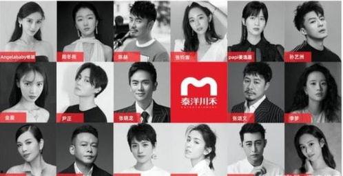 娱乐吃瓜酱保大保小,揭秘“保大保小”背后的故事与真相