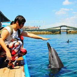 娱乐718.吃瓜三亚