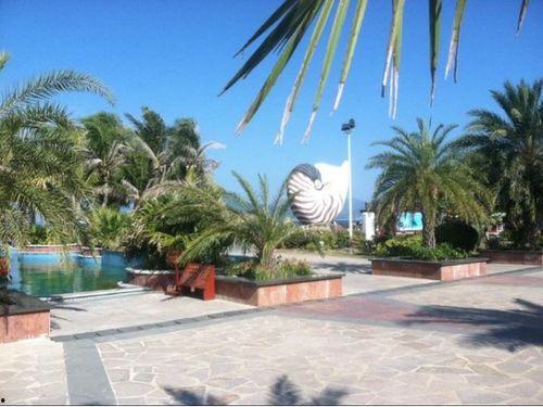 娱乐718.吃瓜三亚