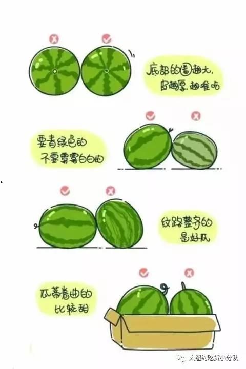 娱乐圈吃瓜的正确方法,轻松解锁明星八卦的正确姿势